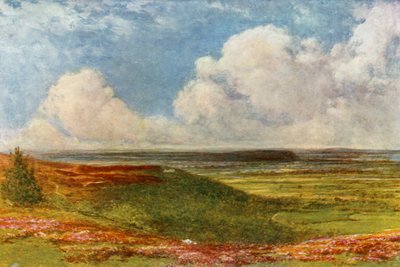 Blackdown Common by Francis S. Walker